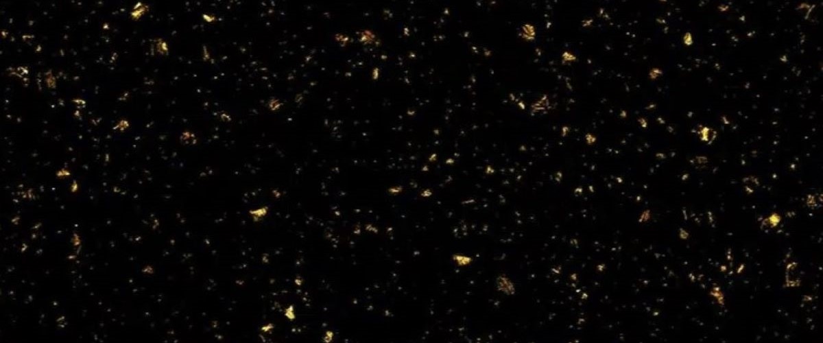 Ashton-Hanex-CopperBlack_Detail